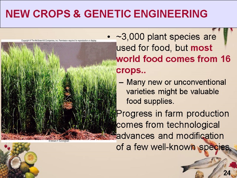 24  NEW CROPS & GENETIC ENGINEERING ~3,000 plant species are used for food,